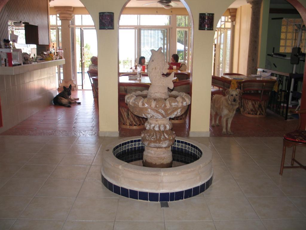 La Puerta Violeta Guesthouse & Spa San Juan Cosalá Exteriér fotografie
